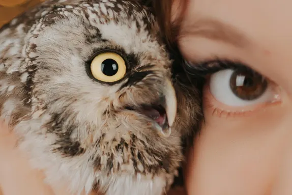 Kasino Royal Winner Podpora